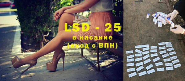 PSILOCYBIN Алзамай