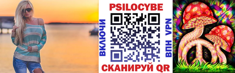 даркнет наркотические препараты  Бронницы  Псилоцибиновые грибы Psilocybine cubensis 